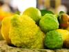 Citrus jambhiri - Schaub Rough Lemon - 5 sėklos - Citrus jambhiri