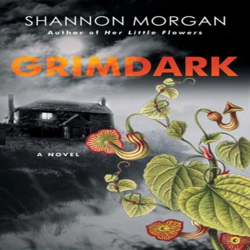 Grimdark by Shannon Morgan Paperback Book 9781496753724
