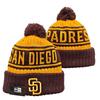 Lion Rugby Knit Hat, Dolphin Outdoor Warm Sun Hat, 49ers Hip Hop Ear Protection Hat