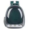 Panoramic Pet Backpack: Portable, Transparent Double Shoulder Carrier for Cats