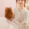 Fluffy Capybara Plush Toy Gourd Backpack Capybara Stuffed Doll Capybara Cotton Doll  Room Decor