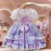 Cute Girls Princess Dress Summer Baby Girl Party Dress Stylish Children Casual Sundress For Toddler Kids Clothing