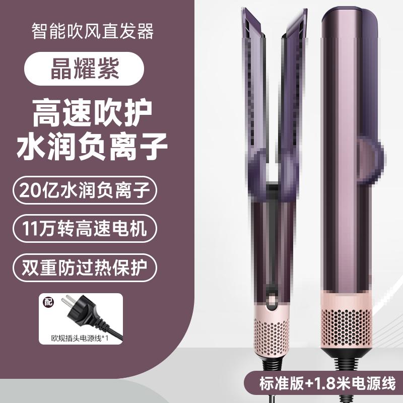 2-in-1 Hair Dryer and Straightener Ht01 Negative Ion Flat Iron Comb for Dry and Wet Use, Hair Straightener That Doesn'T Damage Hair