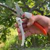 1221 Zact Pruning Shears ZS-210