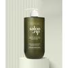 Jungsaemmool Salonhouse Protein Recharging Shampoo 1x000g