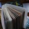 Clear Pocket Document Organizer - 40-Page File Folder For Trading Cards, Photos & Important Papers