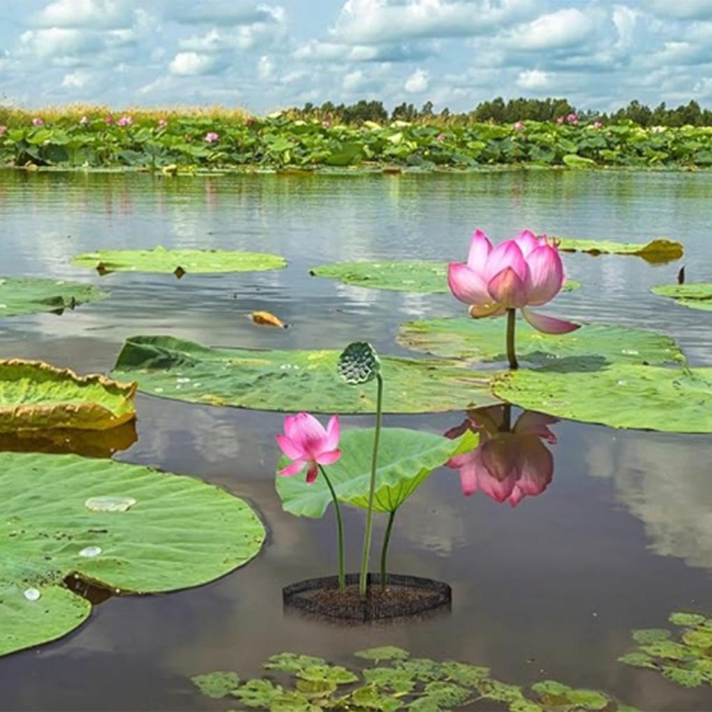 4PCS/SET Planting Reusable Breathable Basket Container Plant Bags, Sturdy and Material for Vegetables Fruits Seedlings Circular