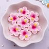 20 PZ Resina Kawaii 3D Colorato Dipinto Fiori di Pesco Flatback Fiore Pietra Scrapbook Figurine Fai da Te Fiocco Decor Accessori Artigianato
