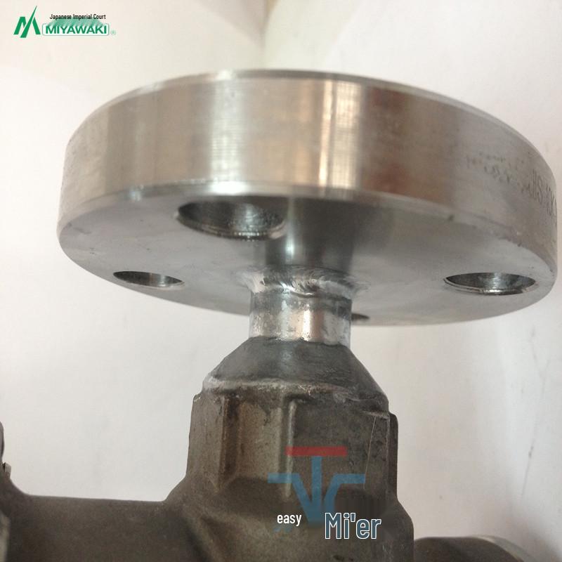 MIYAWAKI REC1-6F DN20 Stainless Steel Flange Steam Reducing Valve