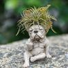Bulldog Dog Planter Funny Middle Finger Dog Resin Flower Pot Cute Animal Shaped Plant Pot for Home Office Desk Garden Decor
