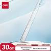 30cm office ruler