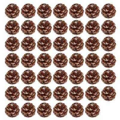 48 pcs Ornements Pommes de Pin de Noël avec Ficelle Pommes de Pin Rustiques Décoration d'Automne pour Bricolage