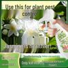Insecticide Spray for Flowers and Potted Plants, Targets Aphids & Red Spiders, General Pest & Disease Control, Water-Based Emulsion