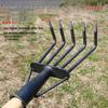 Five-Tooth All-Steel Rake for Beach, Clam Digging, and Gathering Seafood
