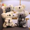 Plyšové hračky pro miminka Kawaii Koala Australský medvídek koala Měkká měkká panenka pro děti Krásný dárek pro kamarády Dívky Hračky pro miminka pro rodiče a děti