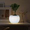 Color Changing LED Planter Pot For Succulents Indoor Gardening And Home Decoration With Illuminated Base