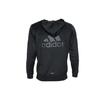 Adidas Jackets Men's Black Hooded Moderate Other DN1420