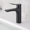 TLXT Hot & Cold Basin Faucet