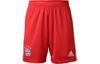Broeken en rokken – Shorts