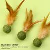 1PC Cat Mint Ball Feather Catnip Ball Self Cleaning Teeth Grinding Ball Feather Toy Ball Pet Toys Cat Supplies Pet Cleaning Tool