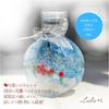 Herbarium Tit and Hibiscus Preserved Flowers Dried Flowers Summer Interior Decor Cool and Relaxing Glass Bottle Tropical Style Summer Gift Birthday