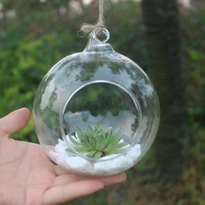 Flower Hanging Vase Glass Planter Plant Terrarium Container Home Wedding Decor