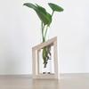 Test Tube Glass Vase Plant Propagation Station Hydroponic Vases for Plants with Wooden Stand Terrarium Office Home Desktop Decor