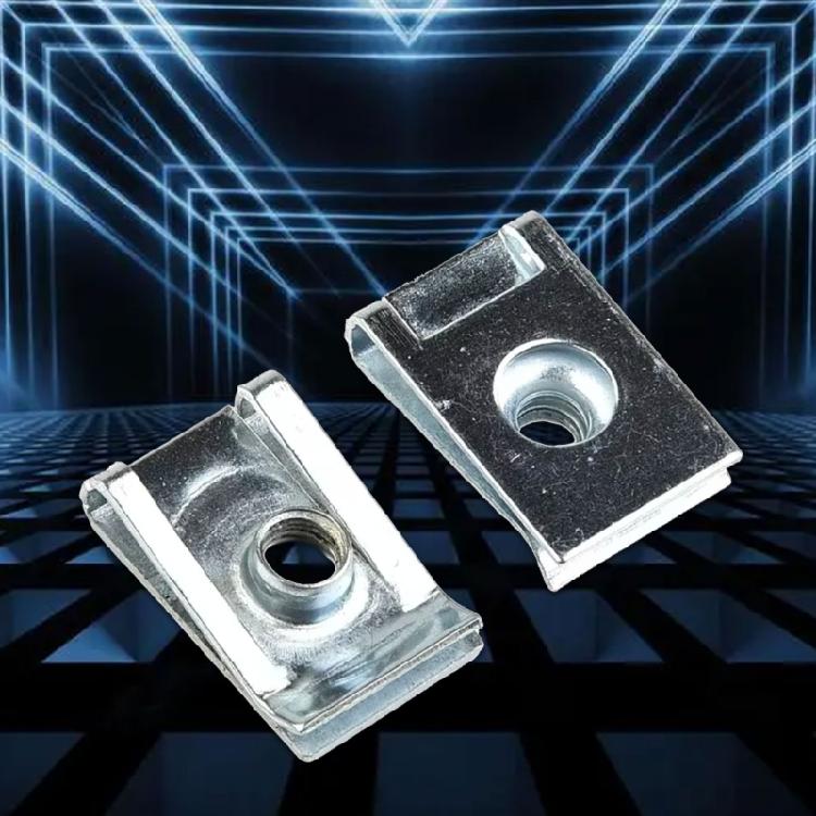 Clip a Molla per Targa Antiruggine 10 Pezzi Fermagli Metallici Universali Acciaio a Molla Tipo U per Auto Camion