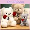 Rosen-Teddybär Plüschtier aus Plüschmaterial Perfekt als Valentinstagsgeschenk für Kinder und Erwachsene