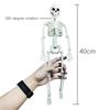Parties Accessories Halloween Props Skeleton Model Human Bones Car Rearview Mirror Pendant