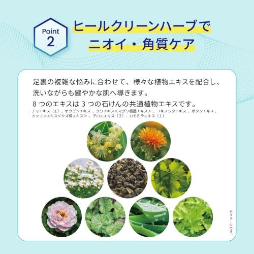 Foot Meji Foot Soap (6-Pack) - Refreshing Mint Foot Wash, Foot Scrub, Large Capacity (Includes Exfoliating Net) - Eco-Friendly Packaging (EC Exclusive