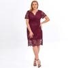 Women's Plus Size Relax Fit Shift Dress Floral Lace Scalloped V Neck Short Sleeve Midi Cocktail Party Wear Daily Work Office Occasion Outfits XL-4XL