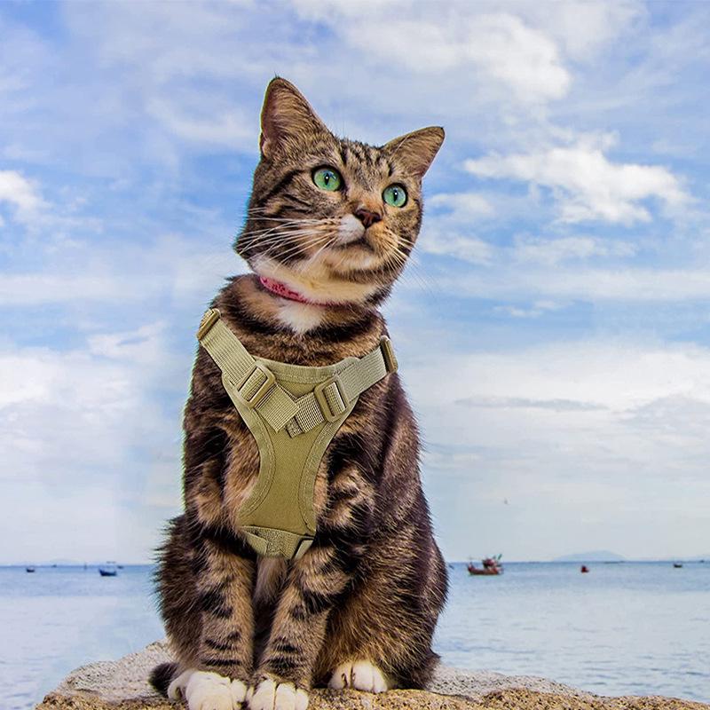 Adjustable Tactical Cat Harness with Anti-Breakaway Leash for Outdoor Use