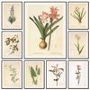 Vintage Botanical Posters Canvas Painting And Prints Classic Wall Art Picture for Living R Room Office Home Decor Frameless Gift