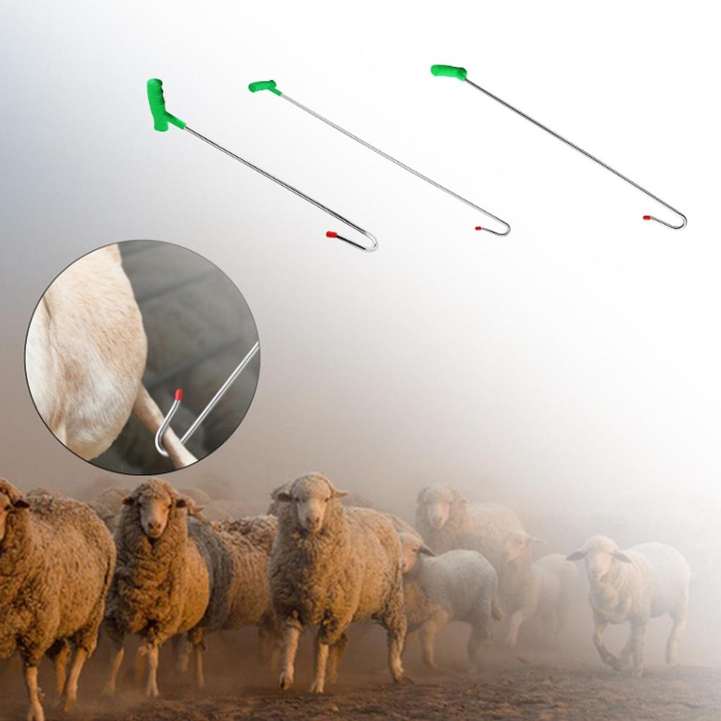Sheep Catching Tool Portable Cable Catching Sheep Captures Device Sheep Catcher Stick Pole for Livestock Farm Animals Garden