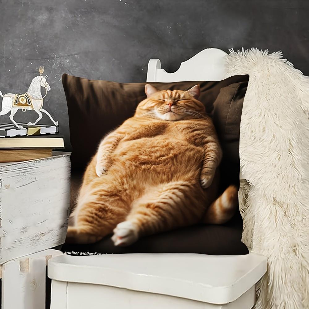 Fat Cats Pillowcase Zipper Closure Contemporary Farmhouse Style For Sofa Bed Car 100% Polyester Machine Washable (No Insert)
