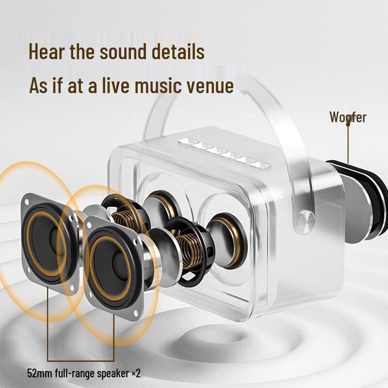 SAST A66 Home KTV Karaoke Microphone Speaker System CN plug (adapter included)