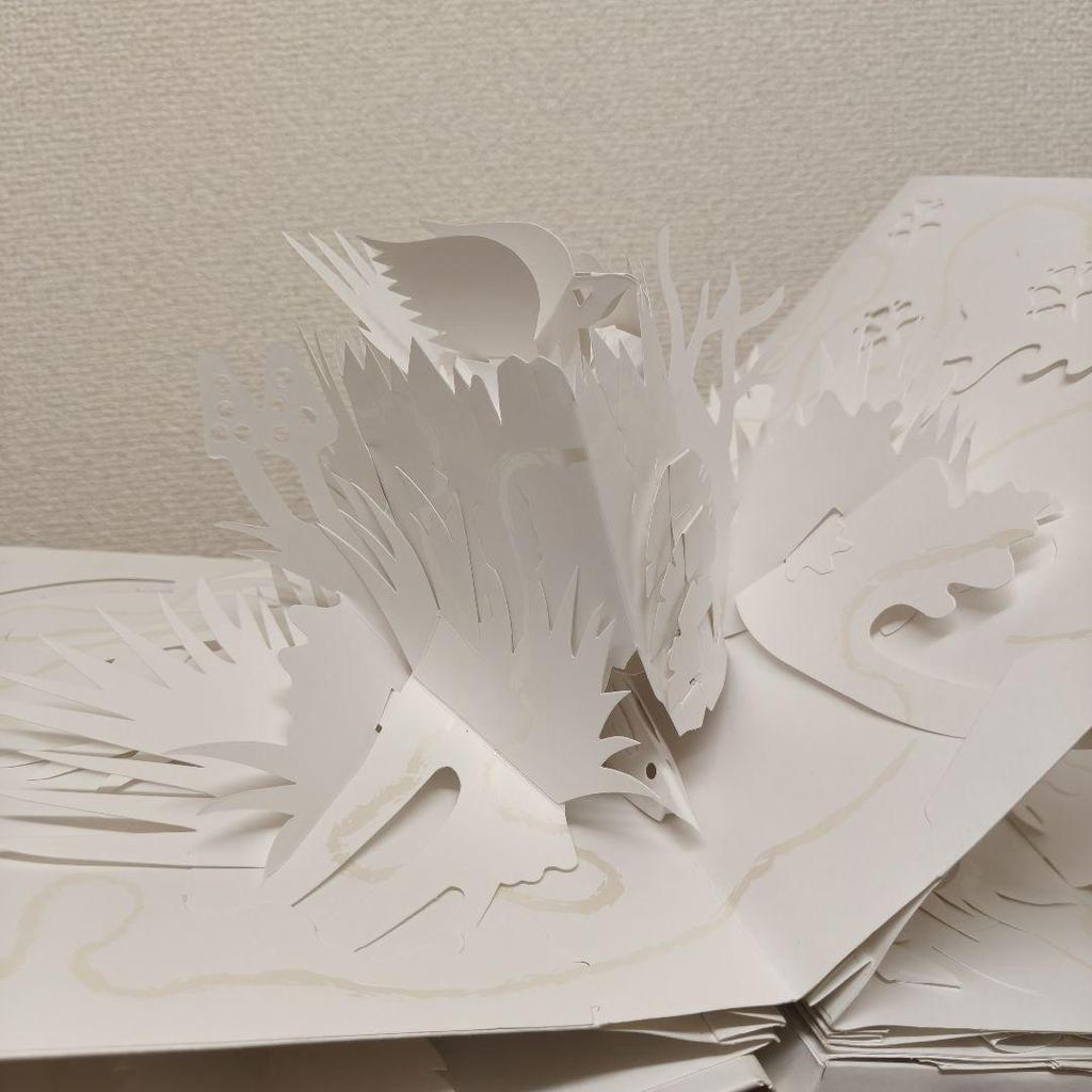 [USED] Trail Paper Poetry by David Pelham