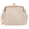 Fashion Women Crossbody Knit Bag Party Banquet Glitter Bag for Ladies Exquisite Wedding Clutch Handbag Shoulder Bag Chain