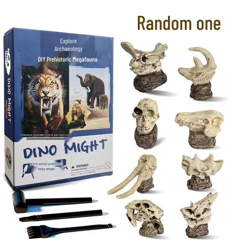 Dinosaur Fossil Excavation Kit: Children s Educational Toy with Prehistoric Skull & Giant Beasts Blind Box
