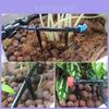 Premium Quality Water Irrigation Kit Set Micro Drip Watering System For Automatic Plant Care