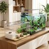 Acquario per Tartarughe Traspirante Piattaforma per Raggi UV Tartarughe Box per la Riproduzione Tartarughe Granchio Eremita