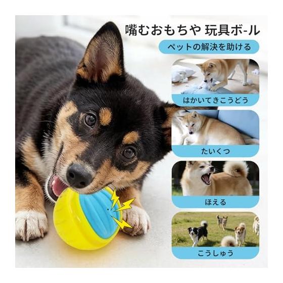 LaRoo Dog Toy Ball with Sound Floating Durable Natural Rubber Chew Toy Stress Relief Teeth Cleaning, Bouncy Indoor and Outdoor Play for Medium Dogs