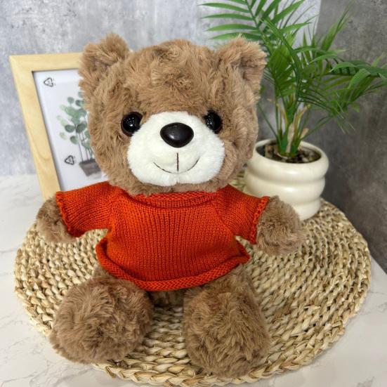 Teddy Bear Plush Toy with Hoodie Soft Stuffed Animal for Christmas Gift Cartoon Huggable Plush Doll for Kids