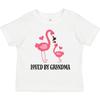 Inktastic Grandma Loves Me Flamingo Grandchild Gift Toddler T-Shirt Loved By Kid