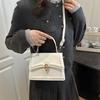 Handbag Bag Women's New Solid Color Texture Handbag Commuting Simple Messenger Small Square Bag