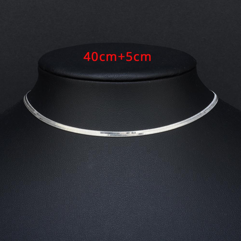 2025 High Quality Clavicle Blade Chains Dropshipping Women Gold Silver Color Stainless Steel 35+5cm Snake Choker Necklace Chain