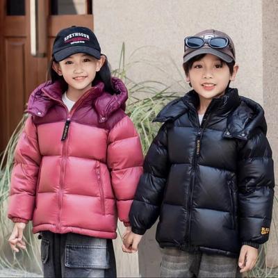 Children's Girls Down Jacket Thickened Autumn and Winter Fashion Hooded Button Warm Coat Children's Clothing
