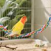 Bird Rope Perch Bite-Proof Colorful Swing Pet Accessories Cockatiel Perch Bird Cage Swing Toys For Parakeet Conure Canaries