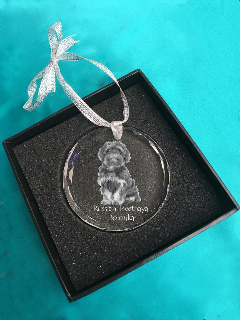 Bolonka, Russian Tsvetnaya Bolonka – Crystal bauble with a photo, dog photo in crystal | Art-Dog